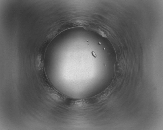 X0000073510420200608140939