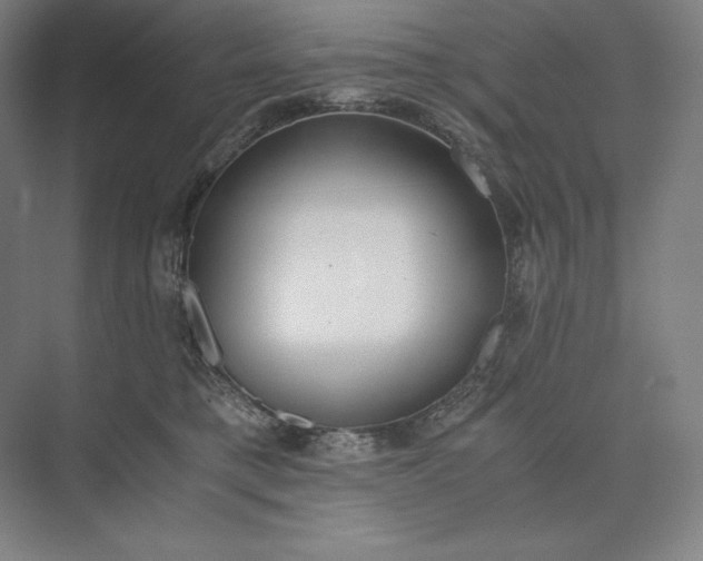 X0000073510421200608140939