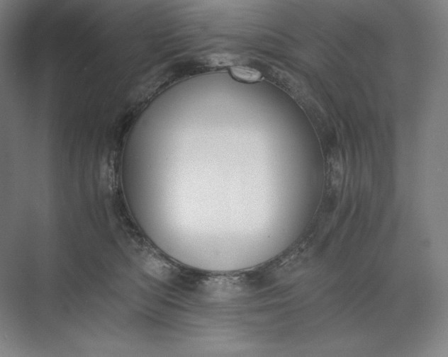 X0000073510422200608140939