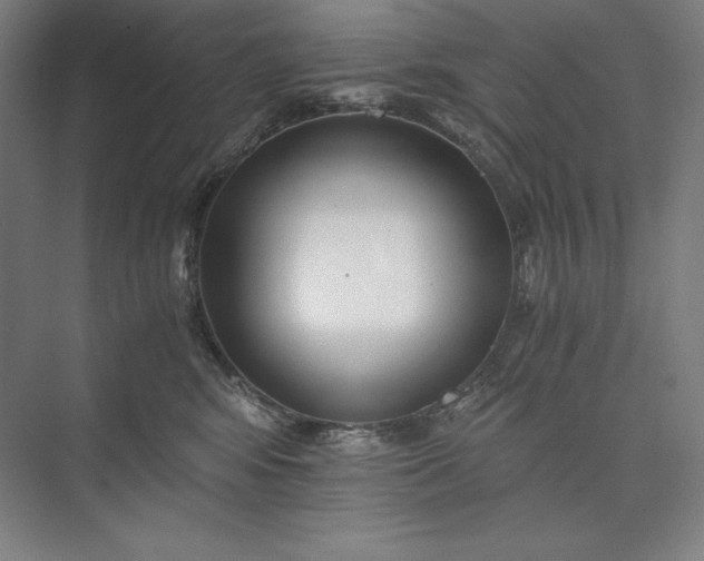 X0000073510424200608140939
