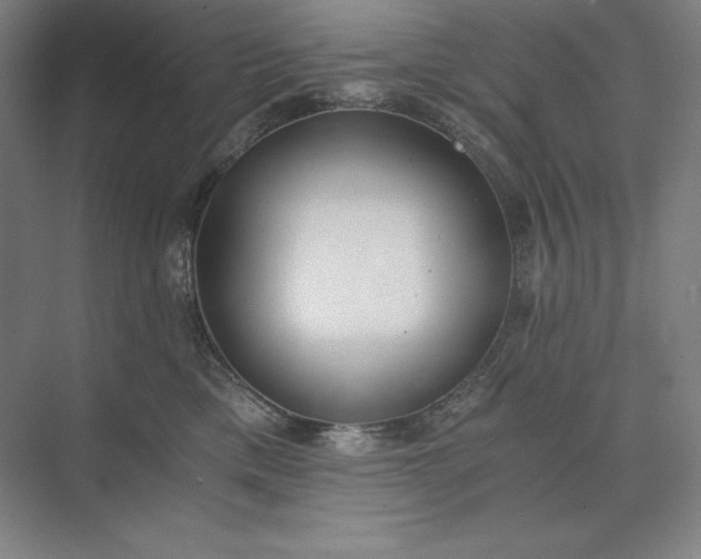 X0000073510425200608140939