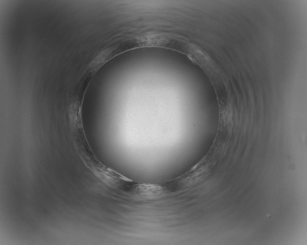X0000073510429200608140939
