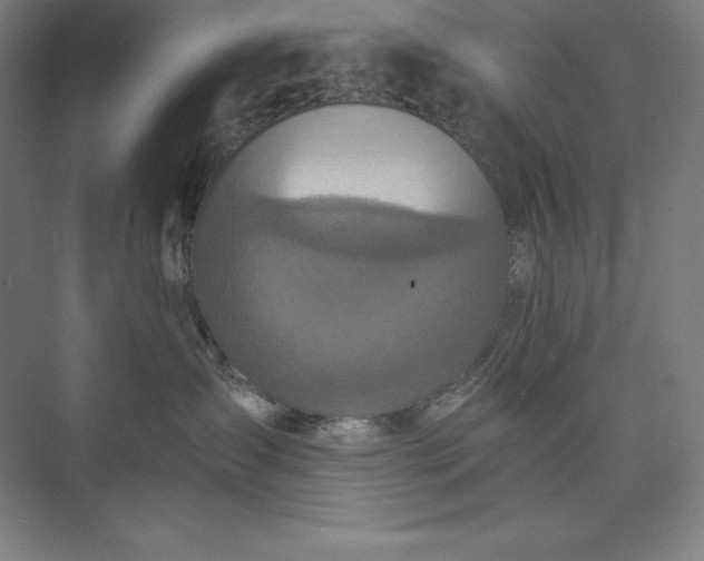 X0000073510431200608140939