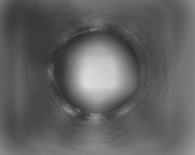 X0000073510432200608140939