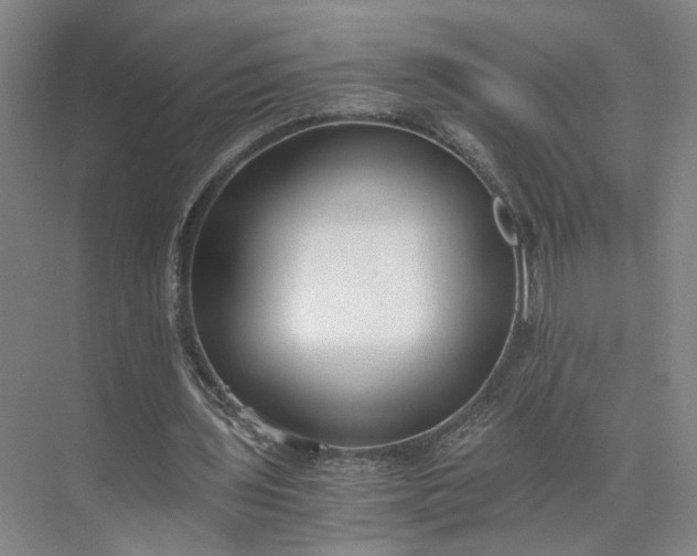 X0000073510435200608140938
