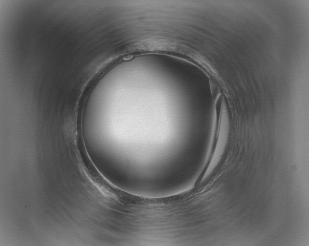 X0000073510438200608140938