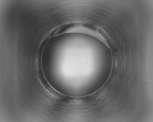 X0000073510444200608140938