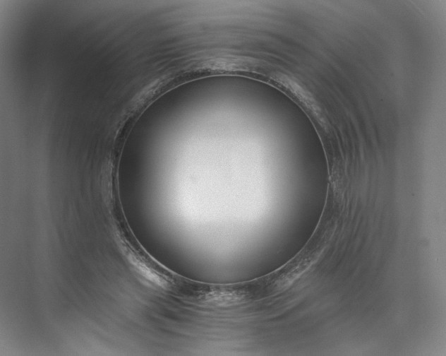 X0000073510445200608140938