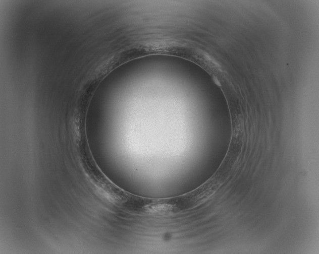 X0000073510452200608140938