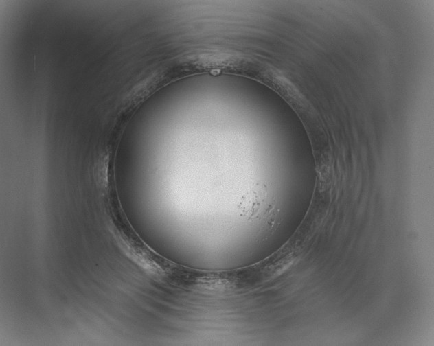X0000073510454200608140938
