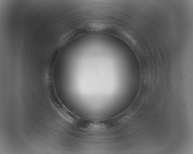 X0000073510455200608140938