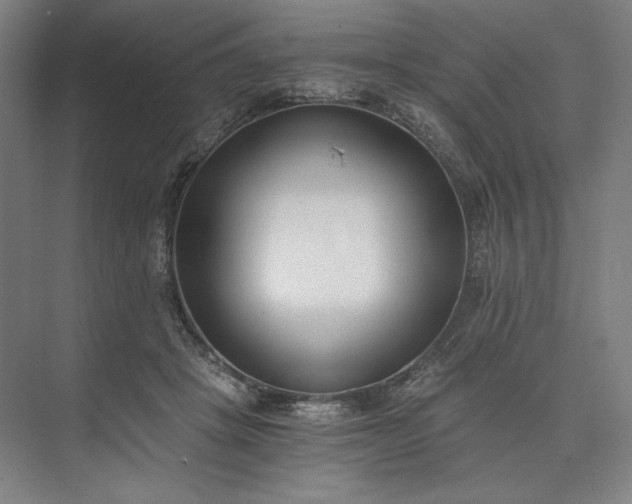 X0000073510457200608140938