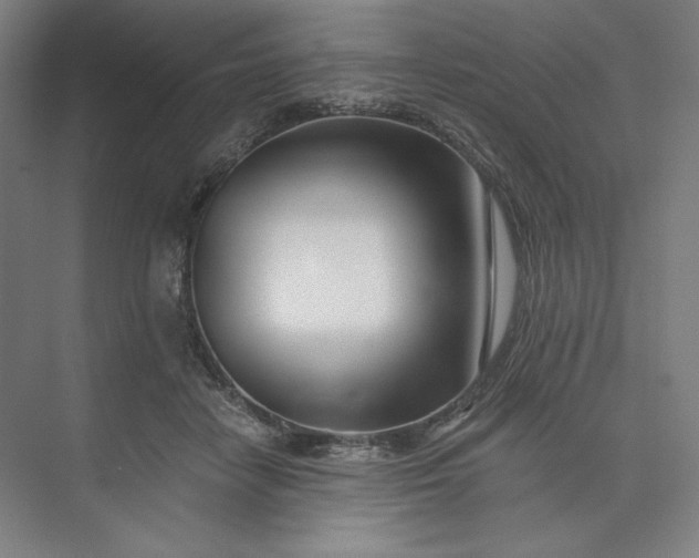 X0000073510458200608140938