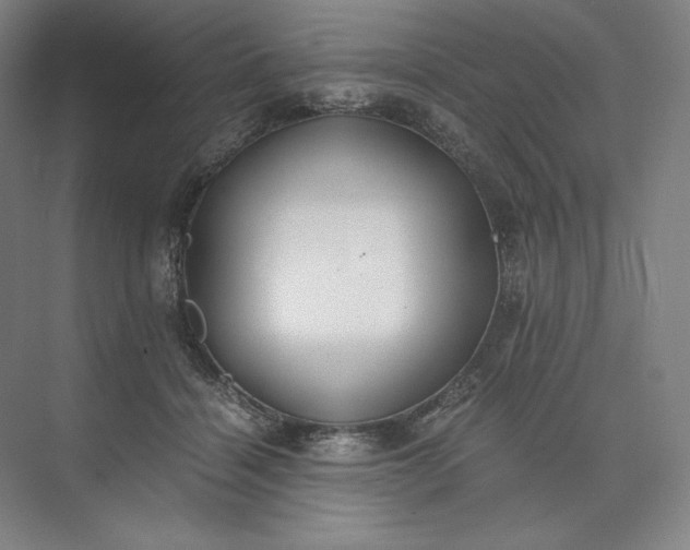 X0000073510460200608140938
