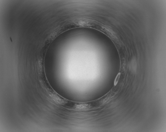 X0000073510461200608140939