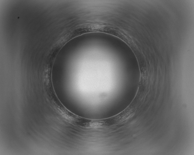 X0000073510462200608140939