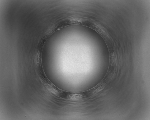 X0000073510463200608140939