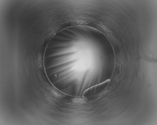 X0000073510465200608140939