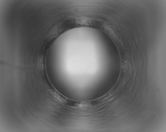 X0000073510466200608140939