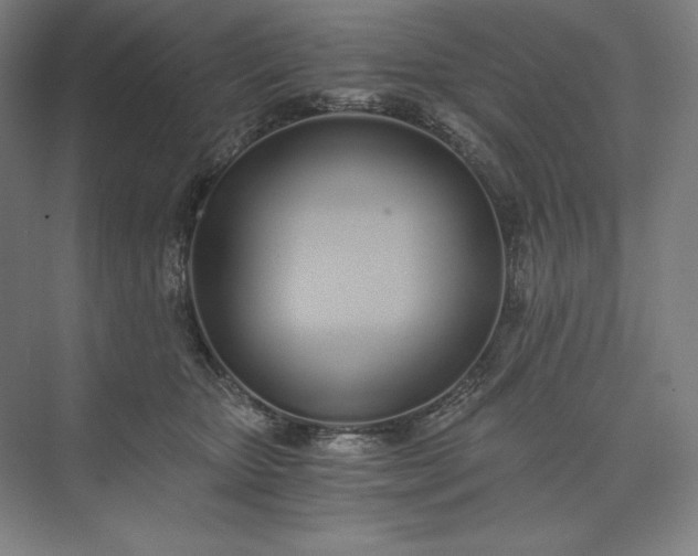 X0000073510467200608140939