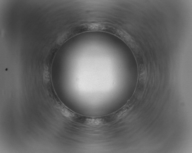 X0000073510469200608140939