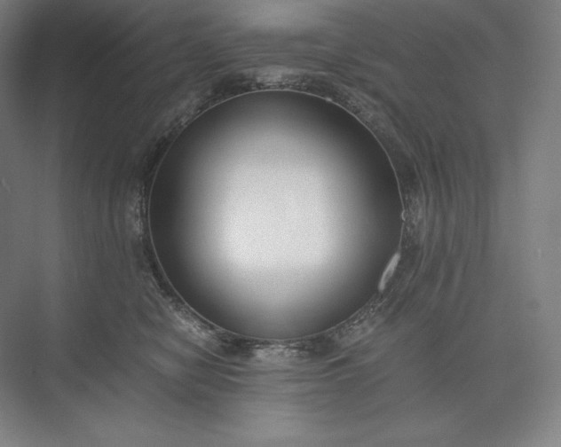 X0000073510470200608140939