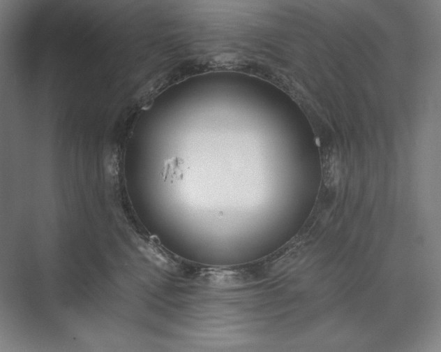 X0000073510472200608140939