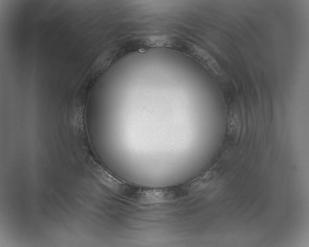 X0000073510473200608140939