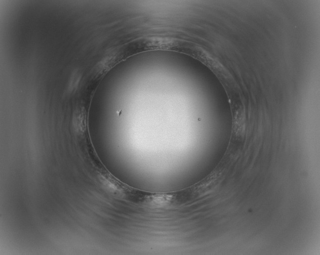 X0000073510474200608140939