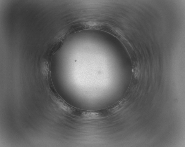 X0000073510476200608140939