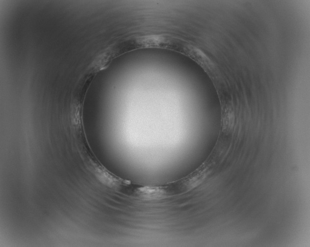 X0000073510477200608140939