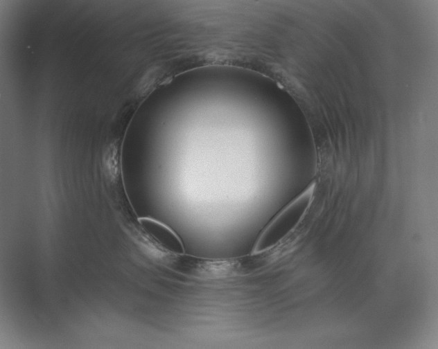 X0000073510479200608140939