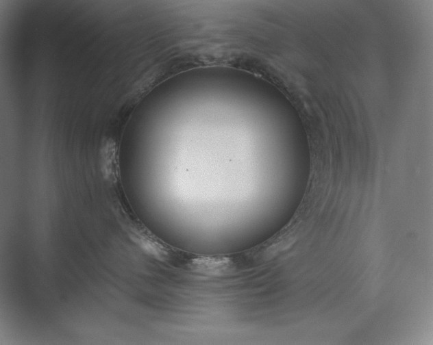 X0000073510480200608140939