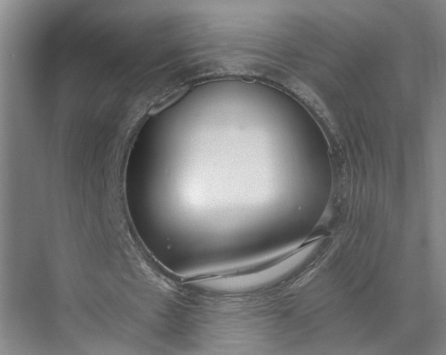 X0000073510481200608140938