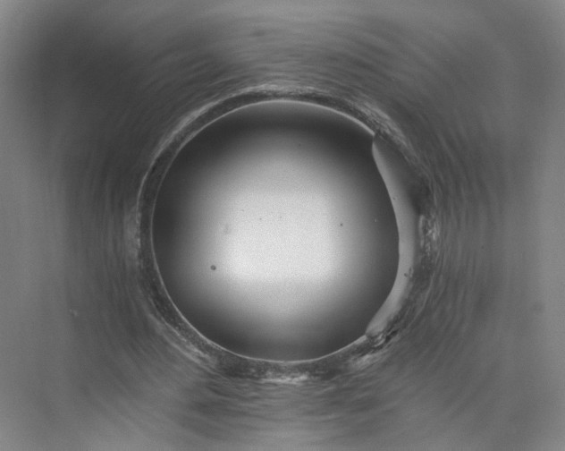 X0000073510484200608140938