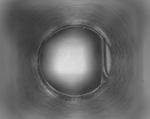 X0000073510485200608140938