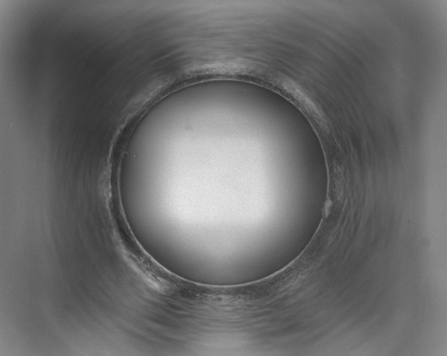 X0000073510486200608140938