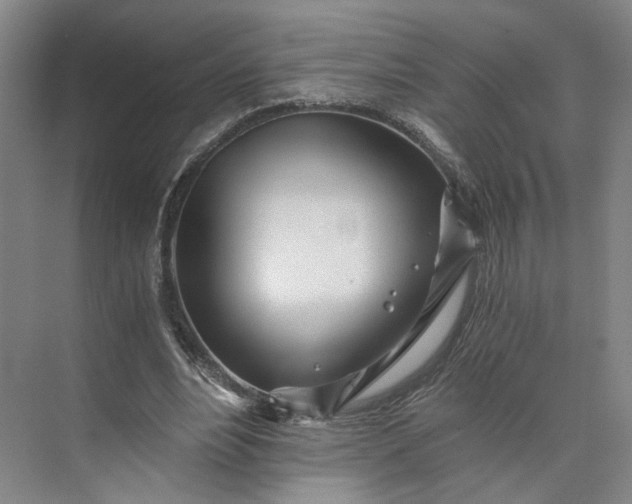 X0000073510488200608140938