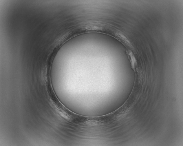 X0000073510490200608140938