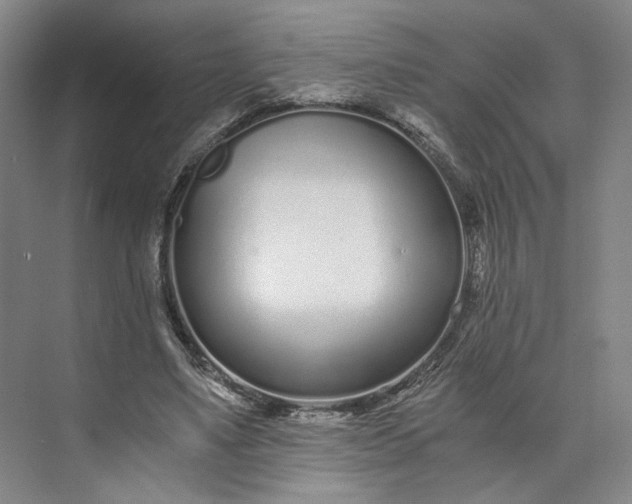 X0000073510491200608140938