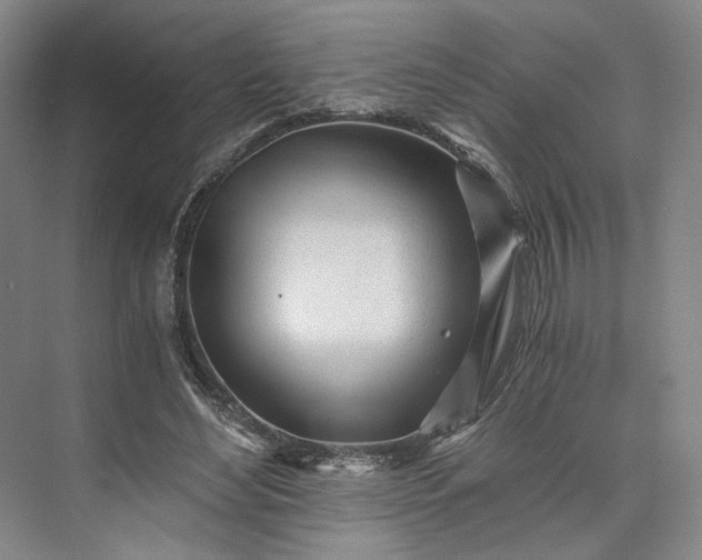 X0000073510492200608140938