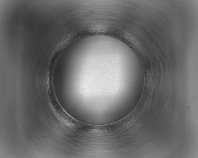 X0000073510494200608140938