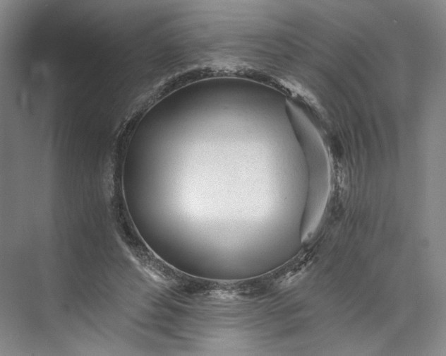 X0000073510496200608140938