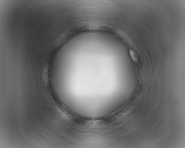 X0000073510497200608140938
