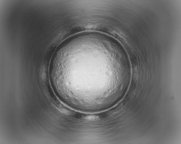 X0000073510499200608140938