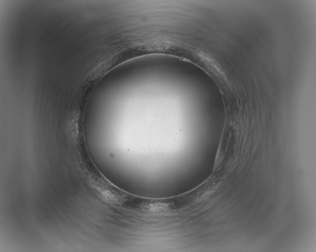 X0000073510501200608140938