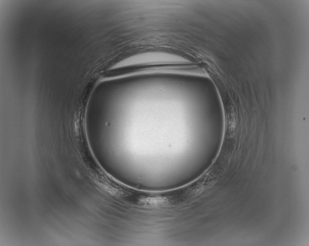X0000073510503200608140938