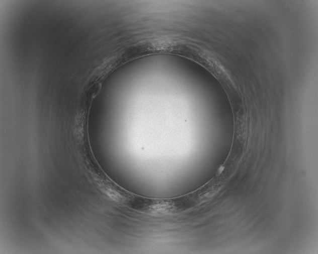 X0000073510505200608140938