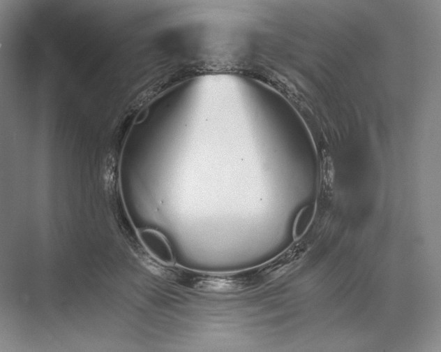 X0000073510507200608140938