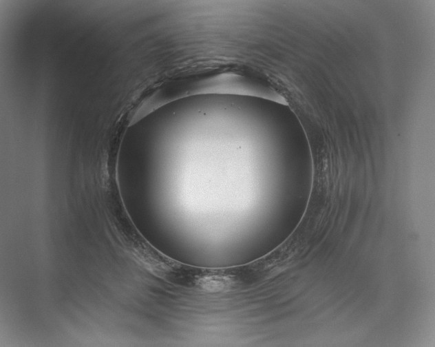 X0000073510508200608140938